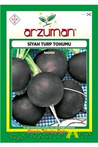 GüçlüTedarik Siyah Turp Tohumu 2000 Tohum 25 Gram