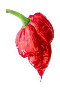 tohumcu kikizade +1 Adet Trinidad Moruga Scorpion Biberi Kurutulmuş Birer Bir Orginal Biber