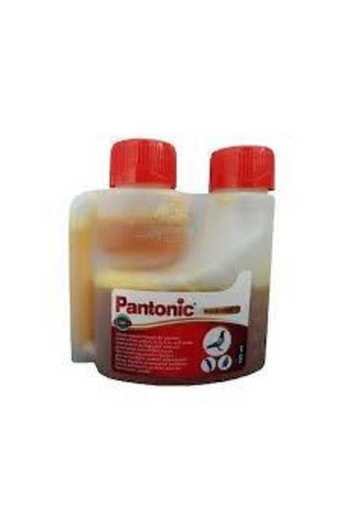 Royal Pantonic 125 Ml Ry244
