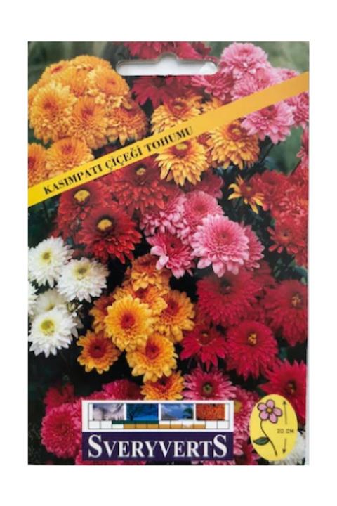 SVERYVERTS Kasımpatı Çiçeği Tohumu 1 Paket