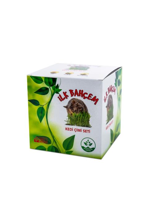 İLK BAHÇEM Kedi Çimi
