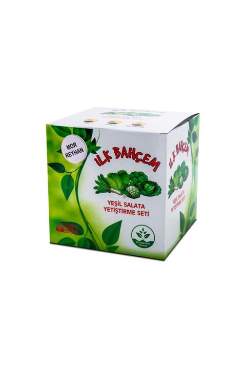 İLK BAHÇEM Mor Reyhan