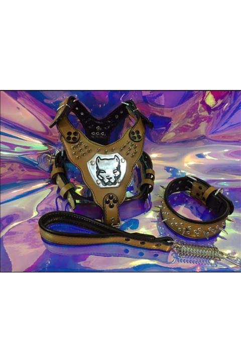 MgTasma Gladyatör Tasma