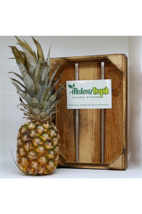 AkdenizTropik Ananas