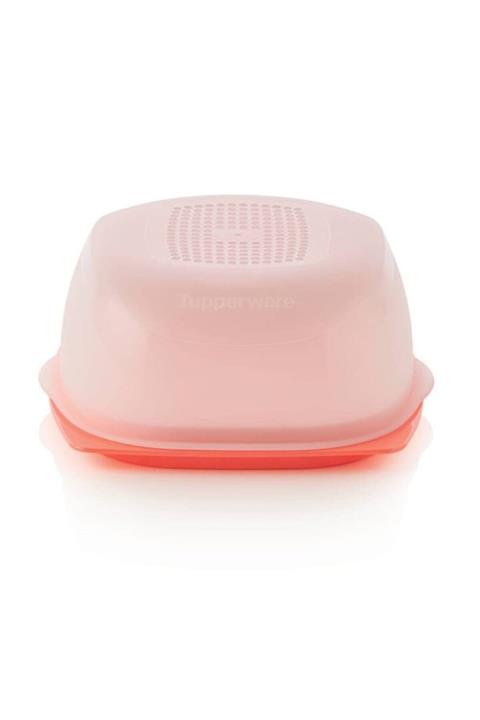 Tupperware Peynir Dünyası (küçük)