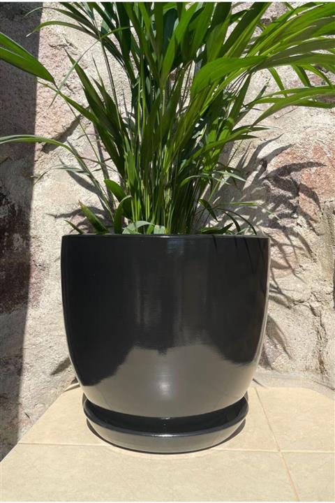 neo izmir Siyah Azami Toprak Saksı