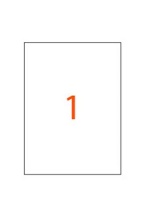 Zebra 210mm*297mm A4 Laser Etiket 1 Paket 100 Sayfa