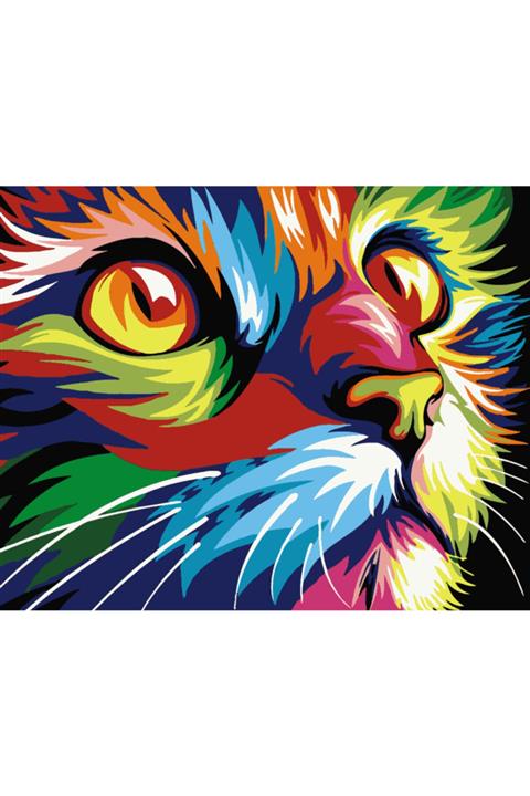 C&FHOBBY Sayılarla Boyama Tablo Seti Çerçeveli 40x50 Fırça Ve Boya Seti Pamuk Tuval Bezi Renkli Kedi