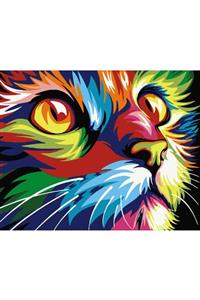 C&FHOBBY Sayılarla Boyama Tablo Seti Çerçeveli 40x50 Fırça Ve Boya Seti Pamuk Tuval Bezi Renkli Kedi