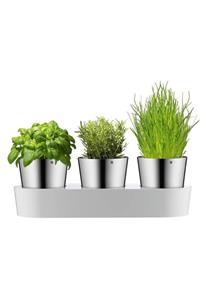 Wmf Herb Garden 3 Lü