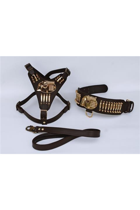 A&C COLLARS Gladyatör Set Köpek Tasması