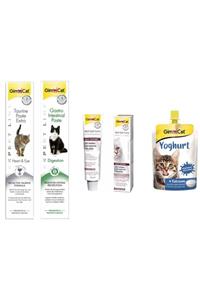 Gimcat Taurine 50gr + Gastro 50gr + Kedi Macunları + Yoghurt Kalsiyum Kedi Pudingi 150 Gr