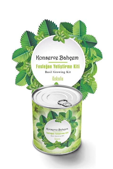 Salkım Planet Konserve Bahçem Evde Konservede Kokulu Fesleğen Yetiştirme Kiti