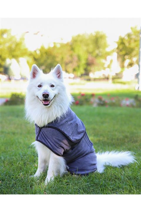 oyapet Mikrofiber Köpek Kurulama Yeleği, Bornozu, Kıyafeti, Montu, Havlusu, Havlu