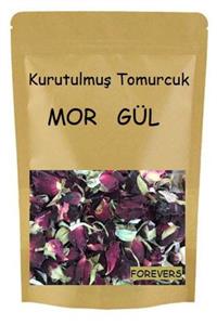 forevers Kurutulmuş Tomurcuk Mor Gül 75 Gram