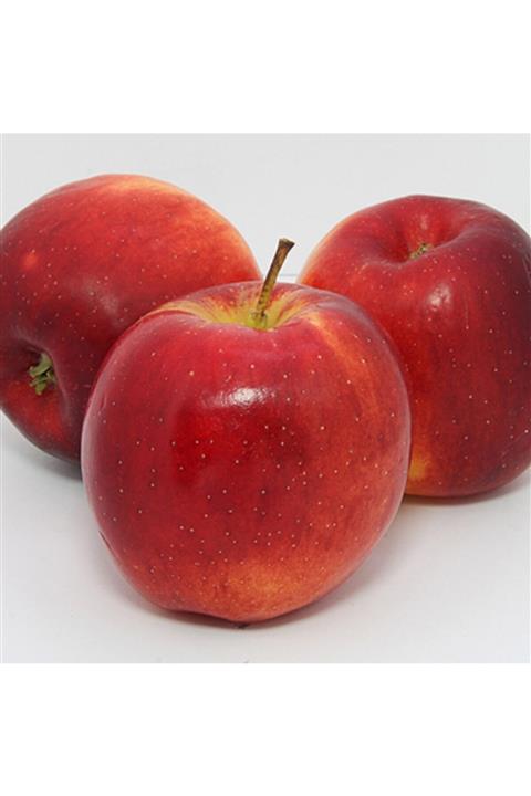 Demet'in Bahçesi Modi Elma (5 Kg)