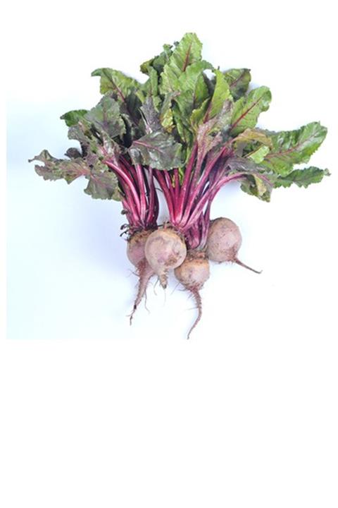 Kezeyce Kırmızı Pancar 2 kg