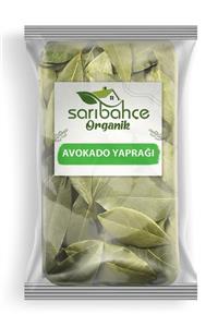 Sarıbahçe Avokado Yaprağı 100gr