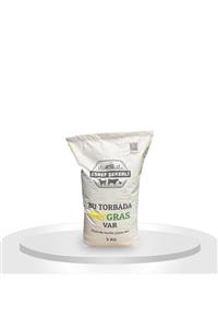 EŞREF ŞEKERLİ Reygras 5 Kilogram Italyan Çimi (ryegrass)  Lolium Multiflorum