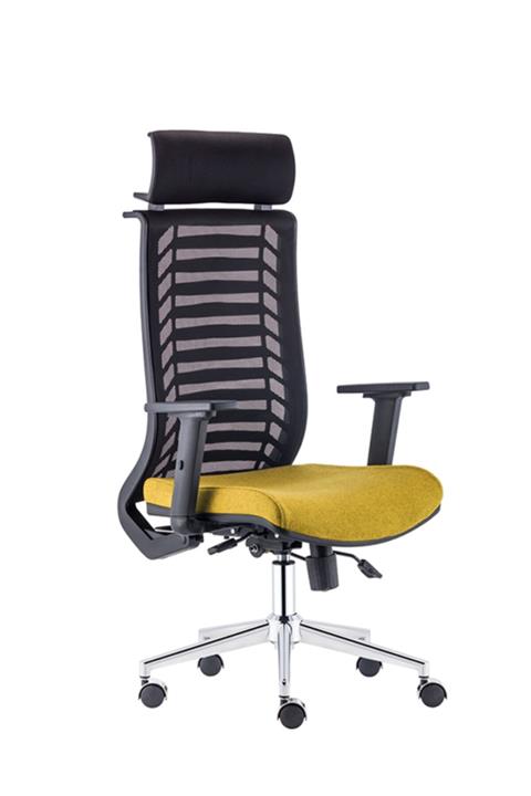 Sandalye Online Lot Yönetici Koltuğu