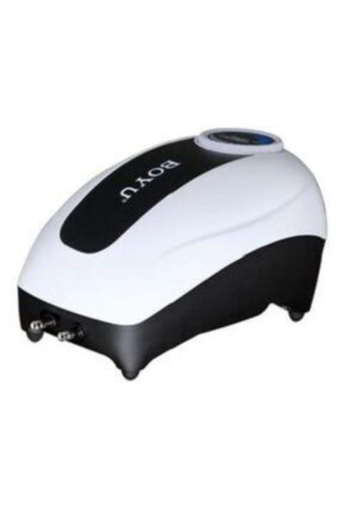 Boyu Tek Çıkışlı Hava Motoru 2,0l/min 2,7w