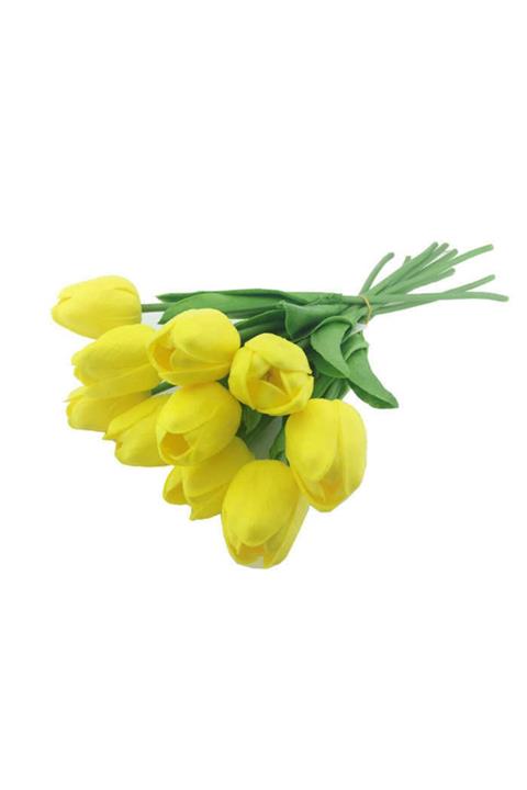 PiCare Çiçek Islak Lale Sarı Pk:10 Ar1691sarı