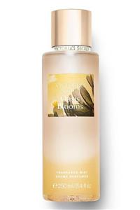 Victoria's Secret Oasis Blooms Fragrance Mist 250 Ml Kadın Vücut Spreyi