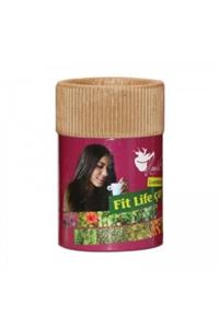 HANDE POLAT Fit Life Tea L Carnitine Ve Hibisküslü