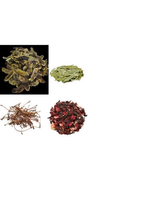 Antep Evim Antepevim Özel Zayıflama Kürü 100gr. Hibiskus, Deve Gözü, Kiraz Sapı, Sinameki