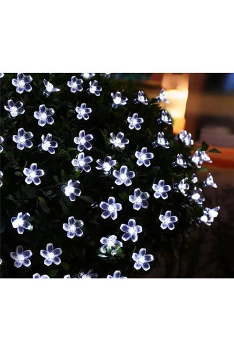 Solar 50 Led Güneş Enerjili Renkli Led Lamba Ağaç Bahçe Teras Aydınlatma