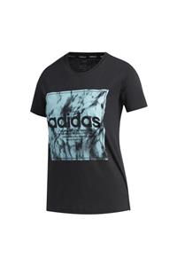 adidas Kadın Siyah T-Shirt -  W T Log P.blue  - FT1393