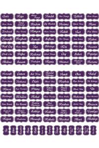 DOGRUDANDEKOR Mor 111 Adet Kuruyemiş - Baharat - Bakliyat Kavanoz Etiketi - Sticker