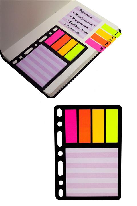Paste Notes Renkli Zebra Desenli Organizer Not Kağıdı