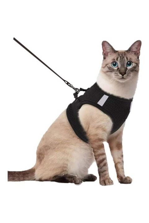 BYPET Kaçış Önleyici Kedi Gezdirme Tasması -reflektörlü Kedi & Köpek Göğüs Tasması-siyah-large Beden