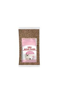 Royal Canin Kitten Mama 1kg