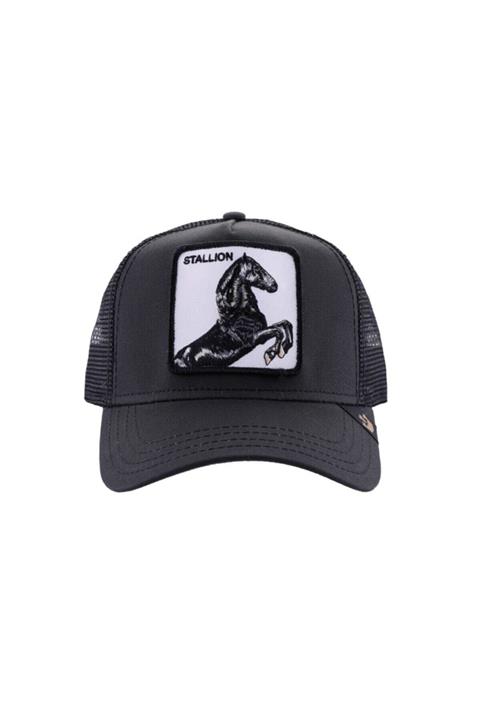 Goorin Bros Şapka Stallion Black