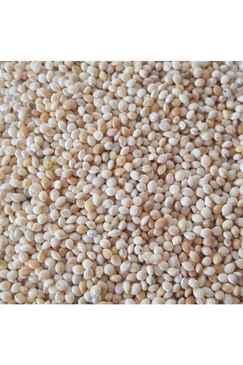 ŞAMPİYON Muhabbet Kuşu Yemi Sade Ak Darı 1 Kg - Beyaz Darı Kuş Yem