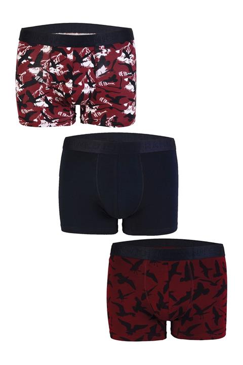 John Frank Campus Erkek Üçlü Boxer