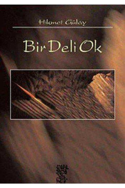 KitapSever Bir Deli Ok