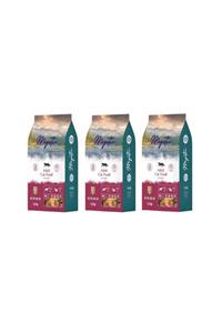 mystick Mystic Gurme Kedi Maması 1,5 Kg 3 Paket (toplam 4,5 Kg) Eksprespet