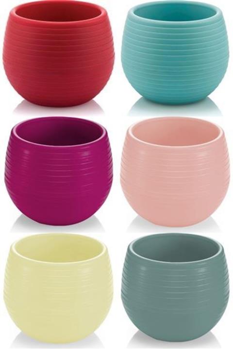 SERİNOVA Elvan Kaktüs 6 Lı Saksı Pembe,mor,mavi,yeşil,kırmızı,sarı No: 1 0,13 Lt