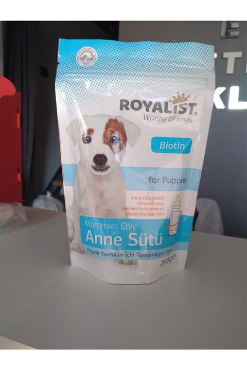 Royalist Köpek Yavruları Için Anne Sütü