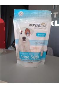 Royalist Köpek Yavruları Için Anne Sütü