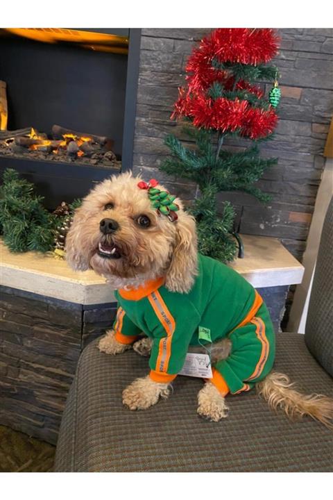 Zeyşil Pati Giyim Reflektörlü Sport Yeşil Kedi Köpek Polar Tulum