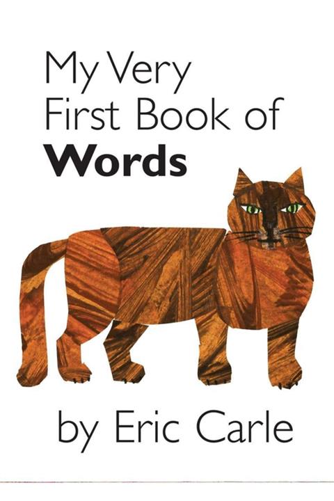 Kitapbulan İthal Kitap My Very First Book Of Words