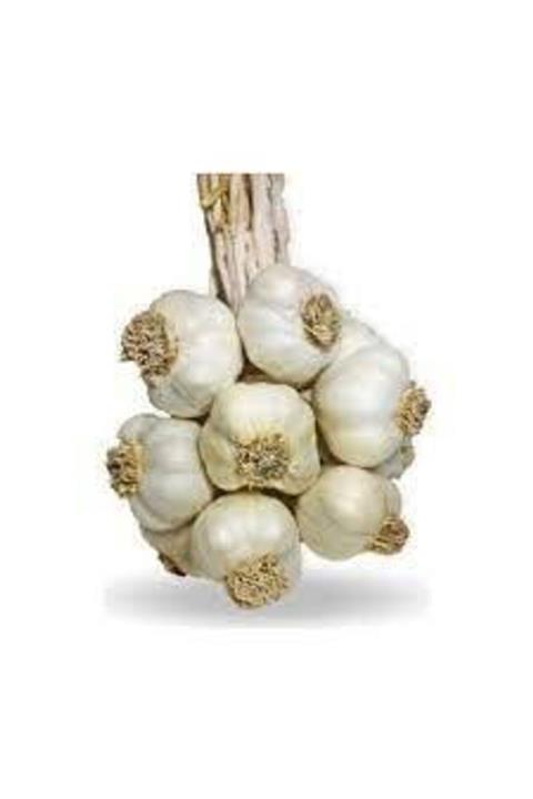 Temizsebzemeyve İri Taneli Sarımsak 500 gr