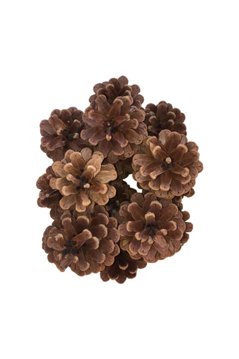 aykitapevi Dekor, Süsleme, Boyama Ve Hobi Için Çam Kozalağı 8 Adet Kozalak