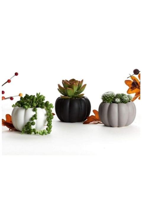 Günay Hediyelik Eşya El Yapımı 3'lü Kabak Tasarımlı Mini Dekoratif Saksı