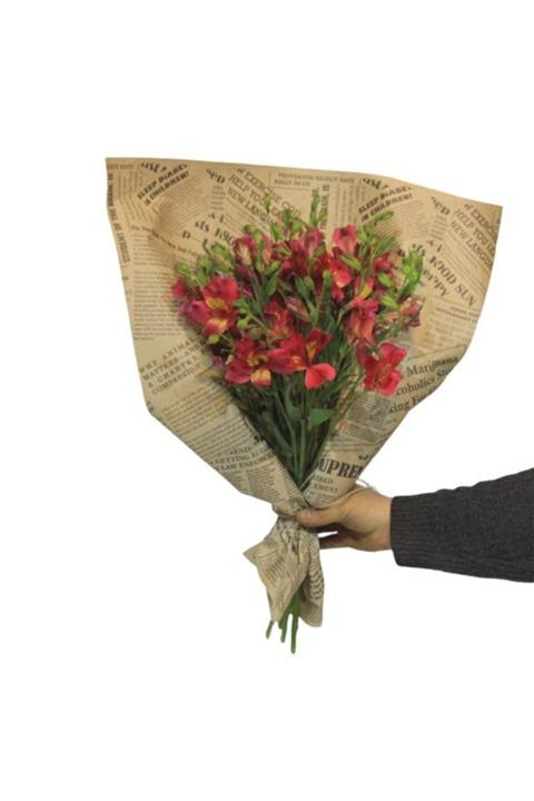 Çiçek Yolla Astomerya Renkli Buketi