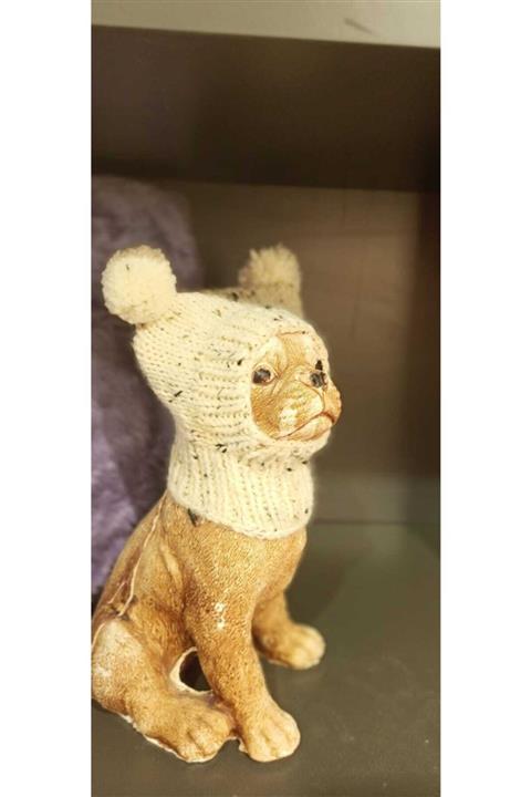 happycats Köpek Şapkası